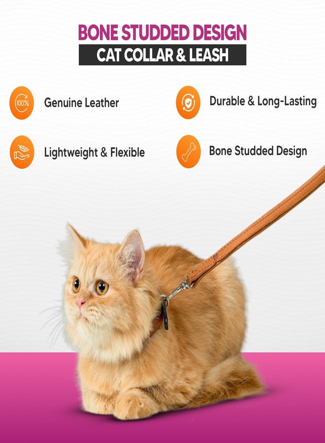 ADIL'S Adil’S Leather Cat Collar & Leash Set Combo - Stylish Single Bone Studded Design Collar, Genuine Leather, Adjustable Buckle & Secure 5ft Leash for Outdoor Activity (Cognac) - Image 4